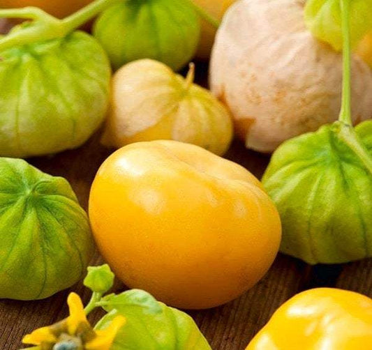 Tomatillo 100 Seeds Vesta Market