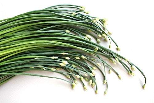 Garlic Chives Allium tuberosum 200 seeds - Vesta Market