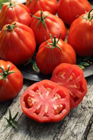 Red Pear tomato 300 seeds Vesta Market