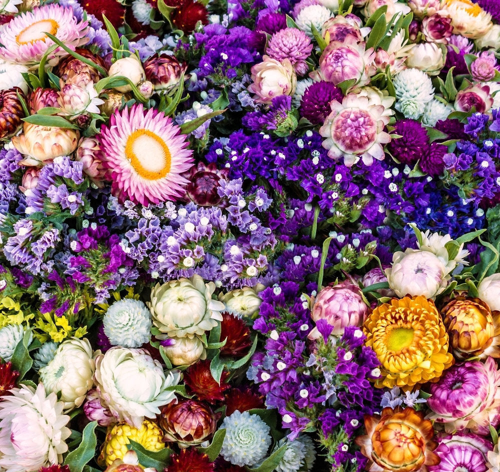 Flower Mix for Dry Bouquets 500 seeds - Vesta Market