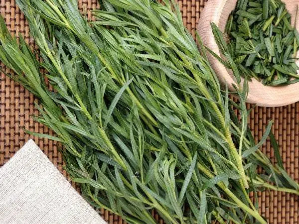 Tarragon Herb Seeds Vesta Market