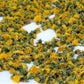 1.76 oz Dried Dandelion Flower BIO Organic 50g / 1.76 oz - Vesta Market