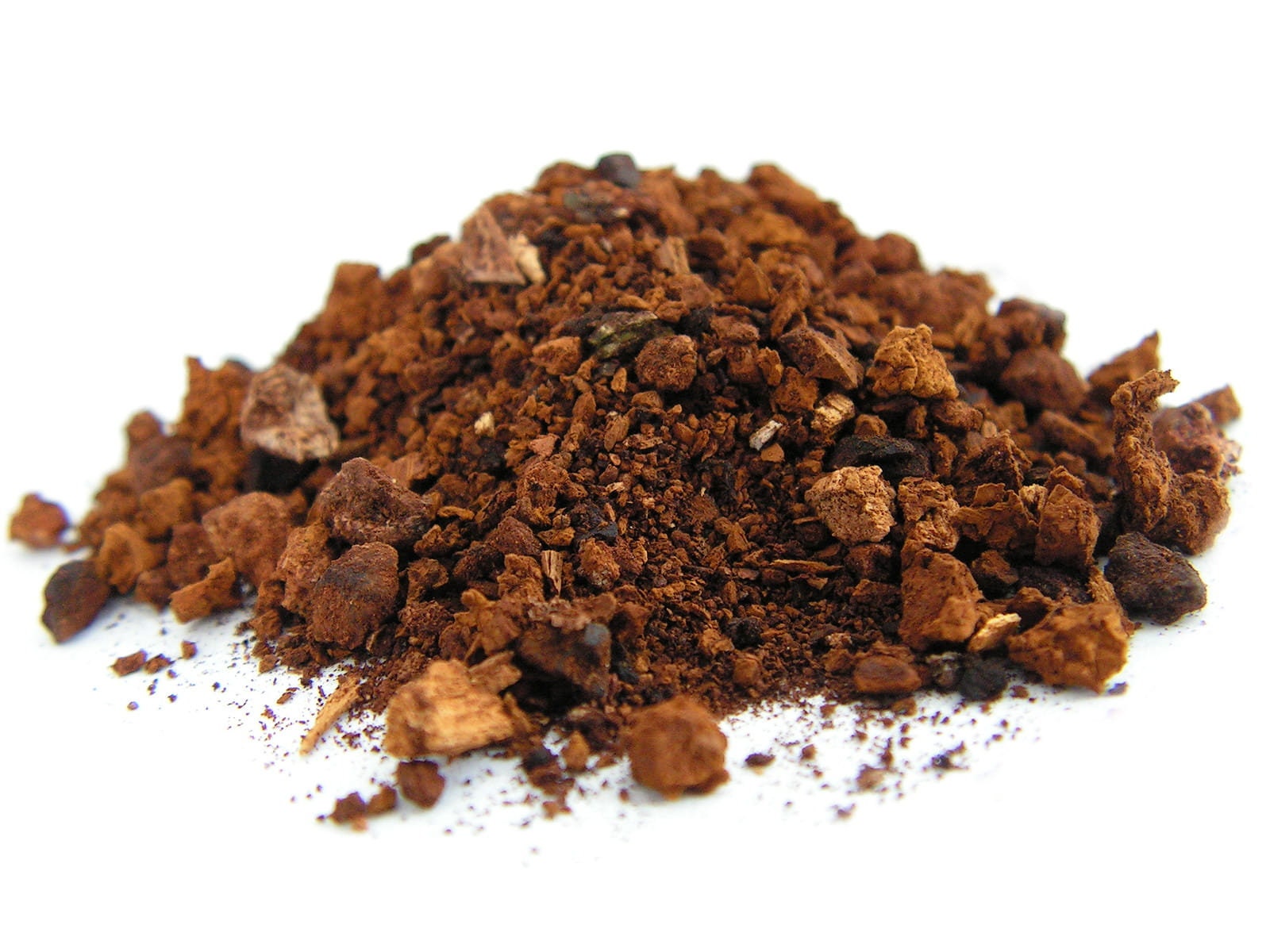 Organic Dried Birch Polypore BIO 50g 1.76 oz - Vesta Market