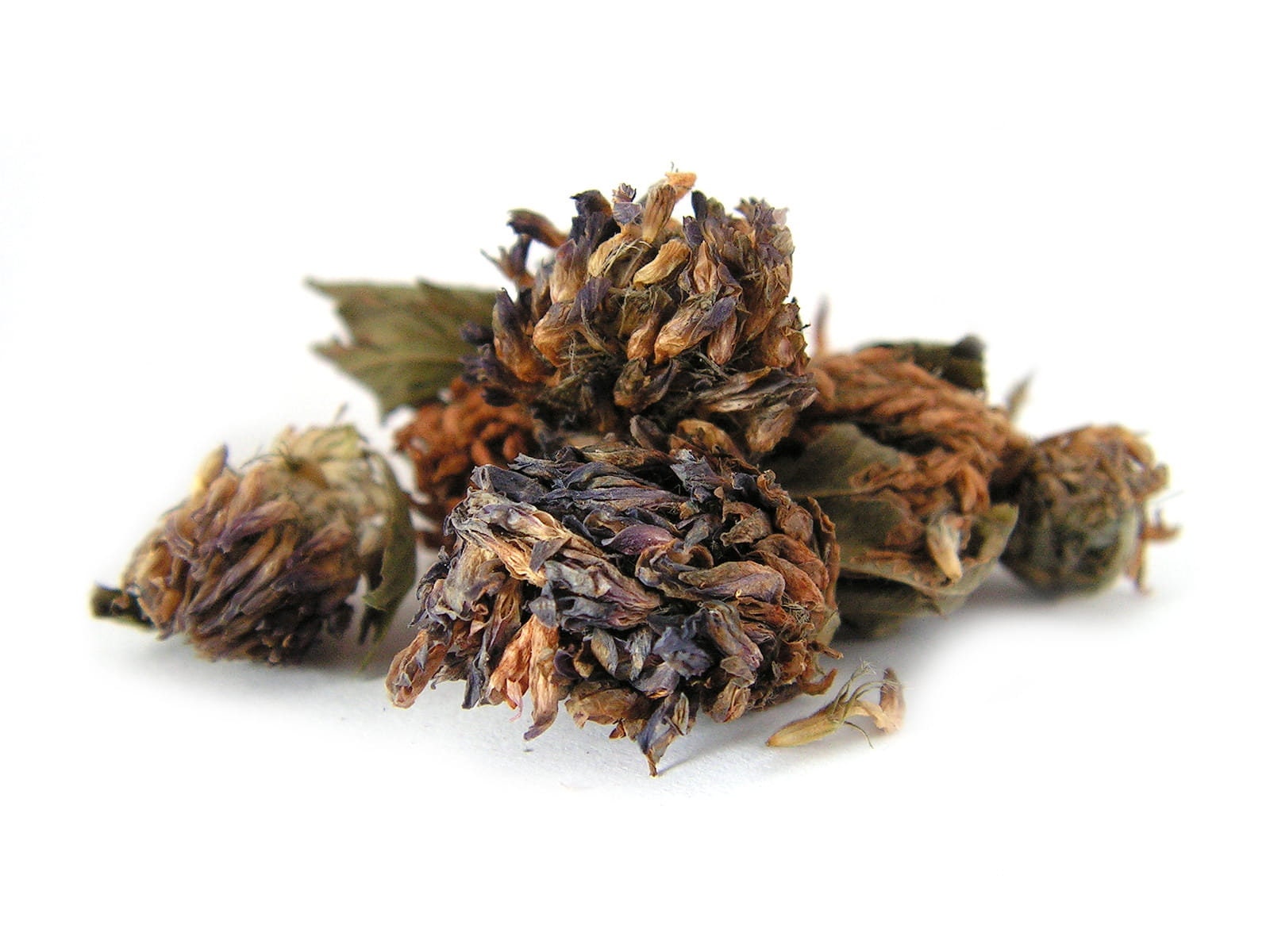 Meadow Red Clover Flower Dried 25g / 0.88 oz - Vesta Market