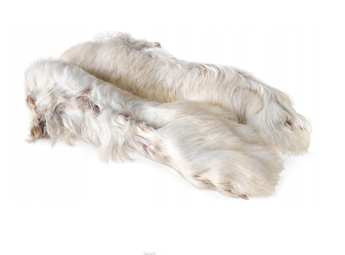 12x Natural Rabbit Paw Feet with Fur for Dogs (250g) – Hypoallergenic Chew Treats (Copy) Vesta Market