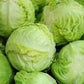 Cabbage White Amager 200 Seeds - Vesta Market