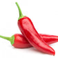 CYCLON Hot Pepper 0.5 grams - Vesta Market