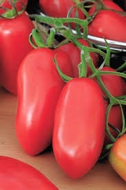 Dwarf Raspberry Tomato Bosman Seeds - Vesta Market