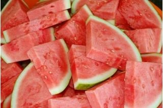 Beautiful Watermelon Rosario Seeds - Vesta Market