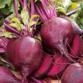 ORGANIC non-GMO beetroot Detroit 2 (Beta vulgaris) 200 seeds - Vesta Market