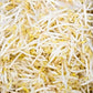 10 grams Organic Broccoli Raab seeds for sprouts - Vesta Market