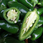 Organic BIO Jalapeno pepper growing set. All included. Non-GMO Vesta Market