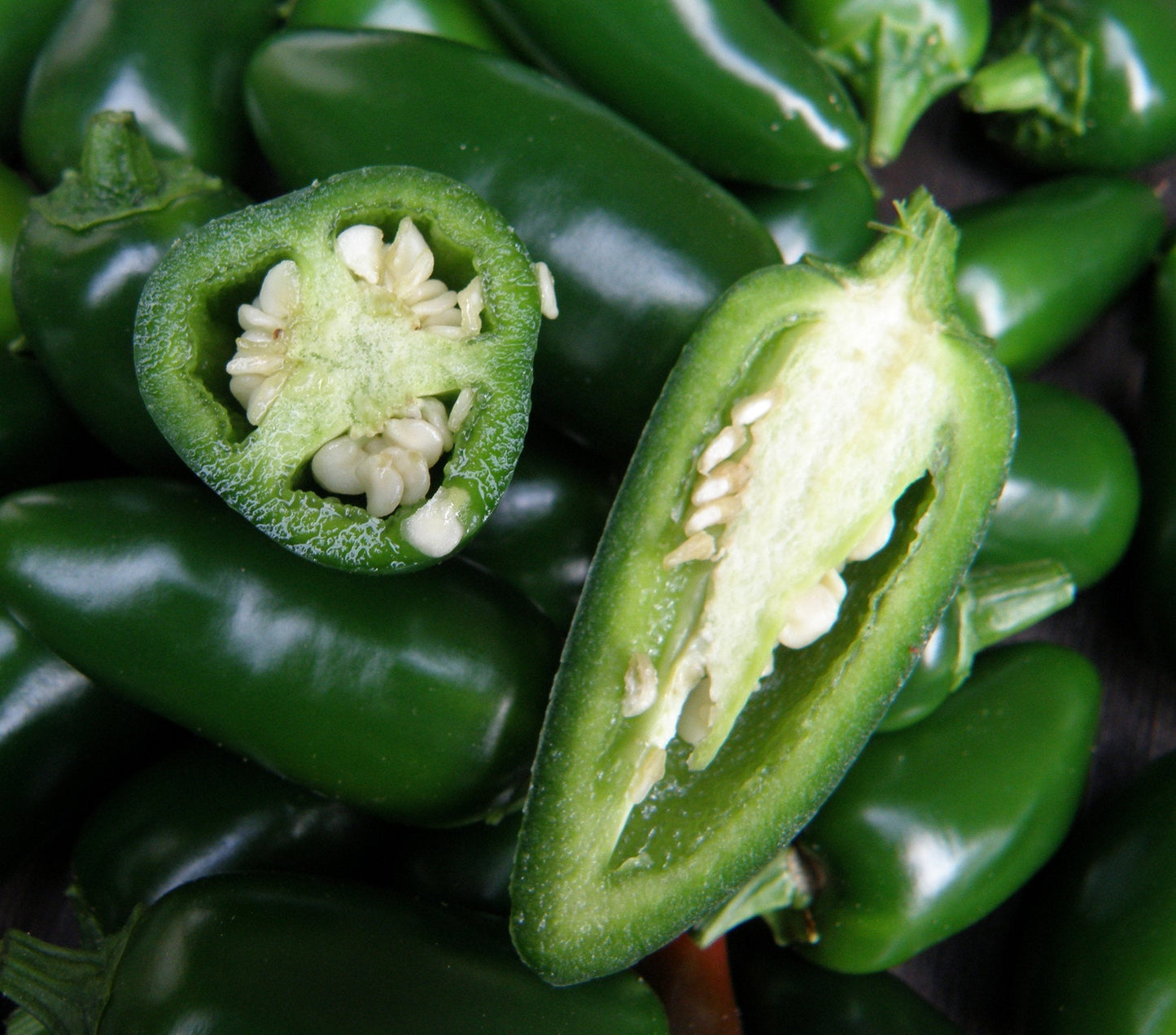 Organic BIO Jalapeno pepper growing set. All included. Non-GMO Vesta Market