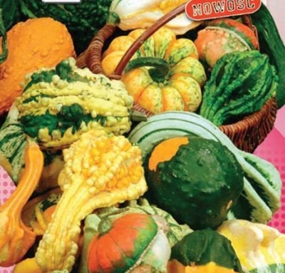 Pumpkin - Little Indian - 20 seeds Vesta Market