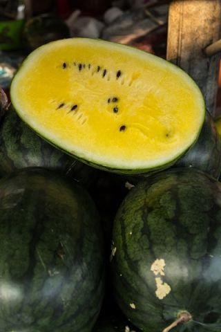 European Watermelon Janosik 10 seeds - Vesta Market