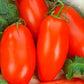 Italian Tomato Scatolone 2 seeds Vesta Market