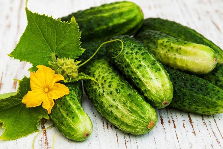 Julian F1 Cucumber Seeds - Vesta Market