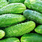 Julian F1 Cucumber Seeds - Vesta Market