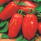 Organic non-GMO Italian San Marzano 2 tomatos Seeds 0.5g - Vesta Market