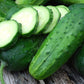 50 European Cucumber Sremski F1 Seeds - Vesta Market