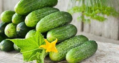 50 European Cucumber Sremski F1 Seeds - Vesta Market