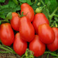 Tomato Denar 100 Seeds Vesta Market