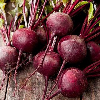 Beetroot Red Ball 500 seeds - Vesta Market