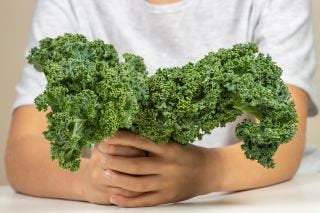 2 Grams Organic Westlandse Herfst Kale seeds - Certified Organic Seeds Vesta Market