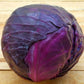 Red Cabbage Koda 800 seeds Vesta Market