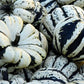 Gourd "Sweet Dumpling" 20 seeds - Vesta Market