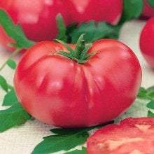 Retro Raspberry Tomato seeds Vesta Market