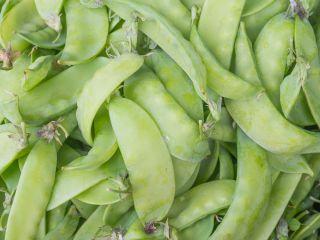 15 grams Organic Seeds Norli Snow Peas - Vesta Market