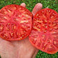 Giant Tomato BRUTUS seeds Vesta Market