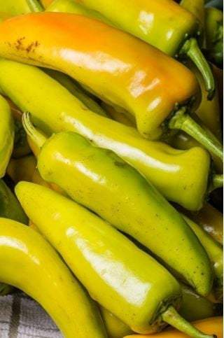 Hungarian Yellow Wax Hot pepper 20 seeds - Vesta Market