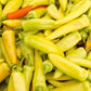 Hungarian Yellow Wax Hot pepper 20 seeds Vesta Market