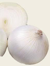 Avalon white onion 300 seeds - Vesta Market
