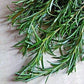 Rosemary (Rosmarinus officinalis) 50 seeds Vesta Market