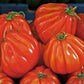 Pear Tomato Red 300 Seeds - Vesta Market