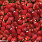 Regina Wild Strawberry - Large Fruit 100 SEEDS Vesta Market