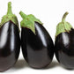 Eggplant, Eggplant Black Beauty 100 seeds Vesta Market