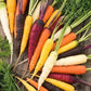 Carrots Mixed Colors 400 Seeds Vesta Market