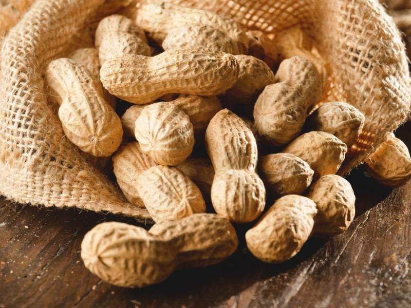 Peanut 5 seeds Vesta Market