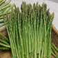Asparagus 1g 20 seeds Vesta Market