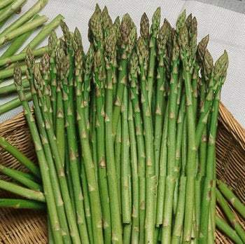 Asparagus 1g 20 seeds - Vesta Market