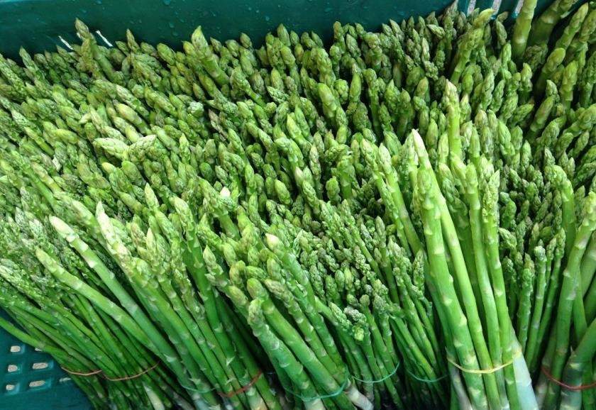 Asparagus 1g 20 seeds Vesta Market