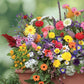 Balcony Flower Mix 200 seeds - Vesta Market