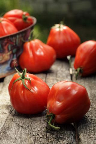 Red Pear tomato 300 seeds Vesta Market