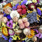 Flower Mix for Dry Bouquets 500 seeds Vesta Market