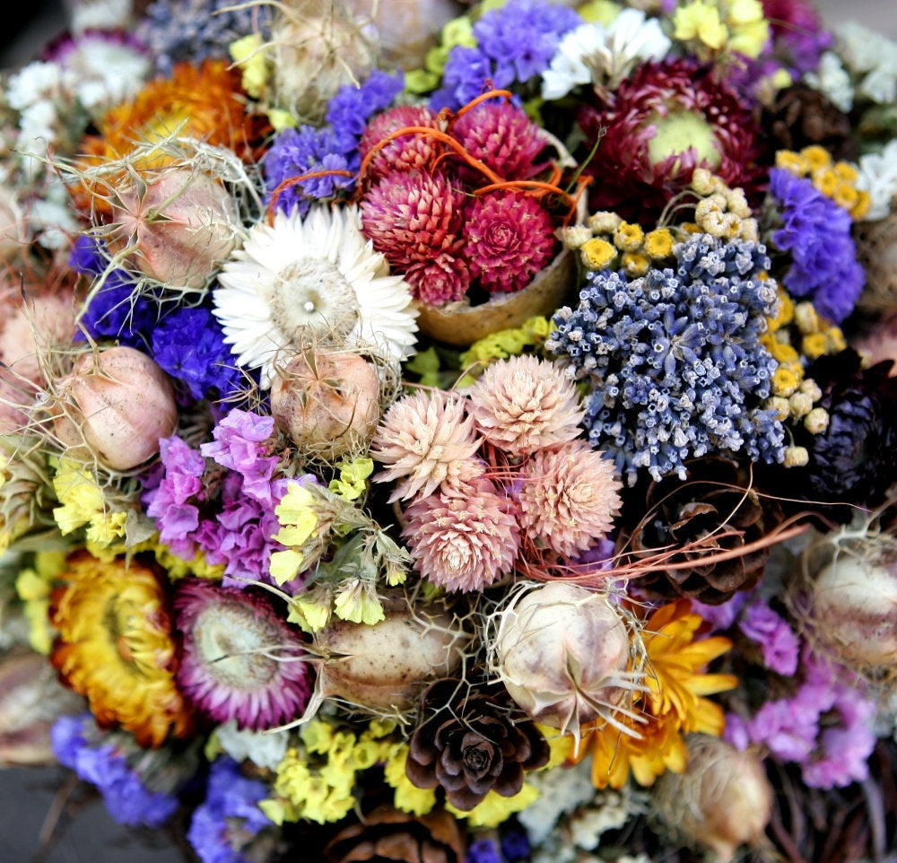 Flower Mix for Dry Bouquets 500 seeds Vesta Market