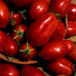 European San Marzano 3 Tomato Seeds 15 seeds Vesta Market